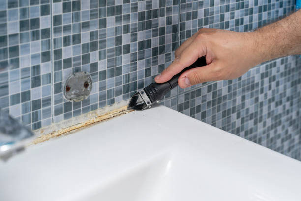 Reliable Livingston, CA Mold Remediation Solutions