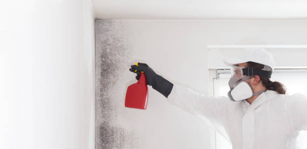 Best Bathroom Mold Remediation in Livingston, CA
