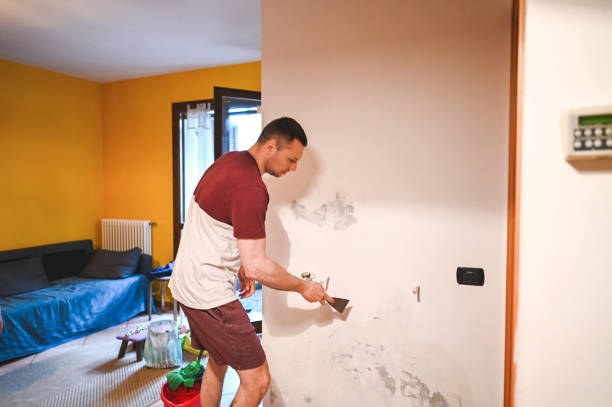 Best DIY Mold Remediation Support Services in Livingston, CA